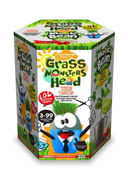 Набір креативної творчості "Grass Monsters Head", Danko Toys, GMH-01-02U GMH-01-02U фото