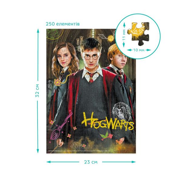 Пазл «Harry Potter. Гаррі та друзі», 250 ел., Dodo 200498 200498 фото