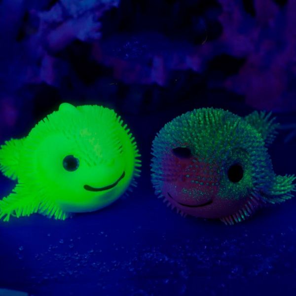 Стретч-іграшка у вигляді тварини серії «Softy friends» – Чарівний океан, sbabam 1/CN22 1/CN22 фото