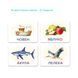 Розвивальна магнітна гра &laquo;Склади слово&raquo;, Dodo 200316 200316 фото 2