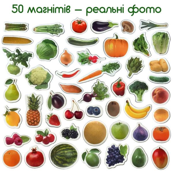 Набір магнітів "Фрукти та овочі", Magdum ML4031-15 ML4031-15 фото