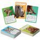 Енциклопедія на картках &laquo;Світ тварин&raquo;, Vladi Toys VT6002-01 VT6002-01 фото 2