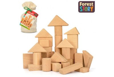Кубики з дерева ГеоФігури, 50+ ел., ARINWOOD FS02 FS02 фото